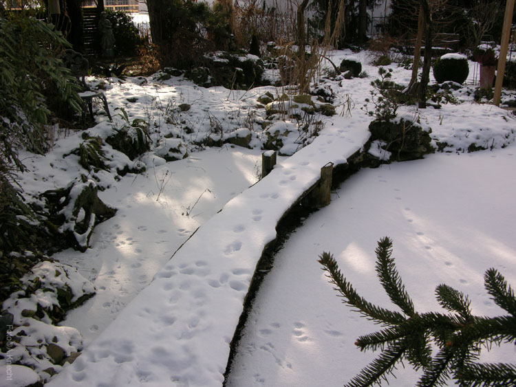 Gartentraeume_Winter-16