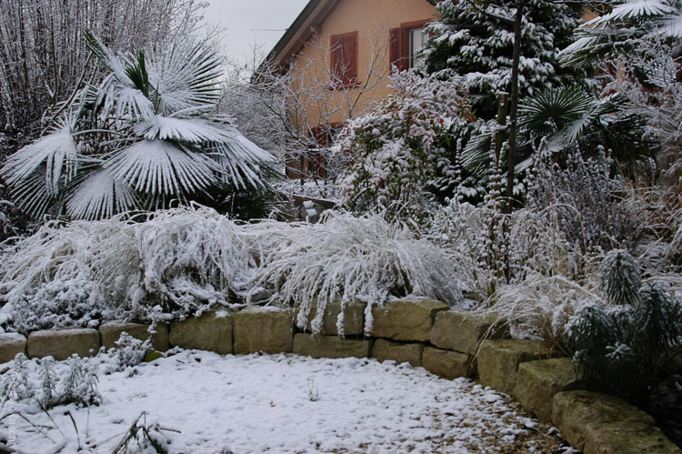 Gartentraeume_Winter-24